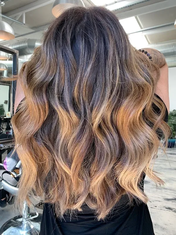 Lavish Hair Lounge — Hair salon in Albuquerque